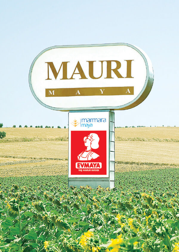 Mauri Maya